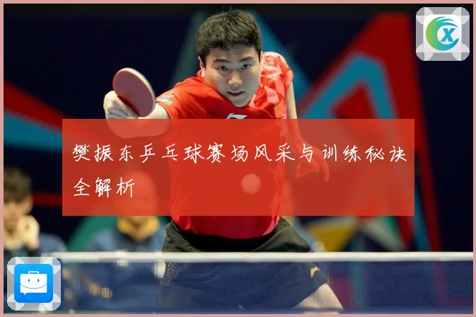 樊振东乒乓球赛场风采与训练秘诀全解析