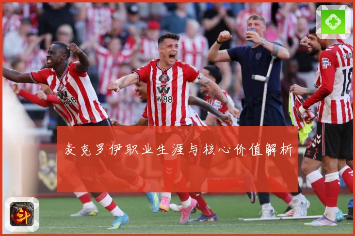 麦克罗伊职业生涯与核心价值解析