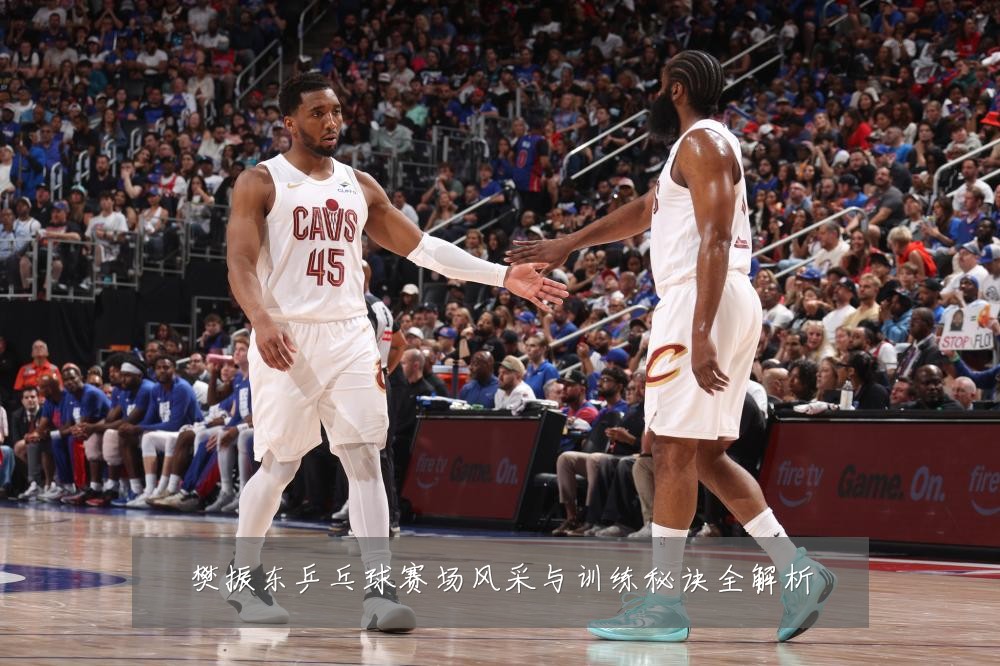 樊振东乒乓球赛场风采与训练秘诀全解析
